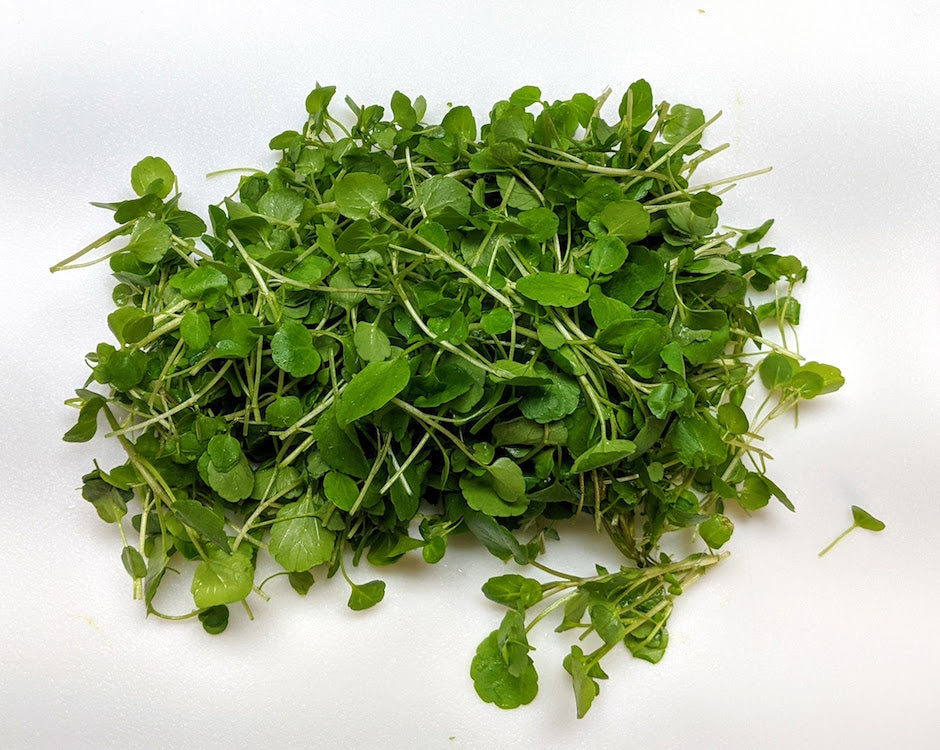 Watercress 101: What Is Cress? (+ Varieties!)