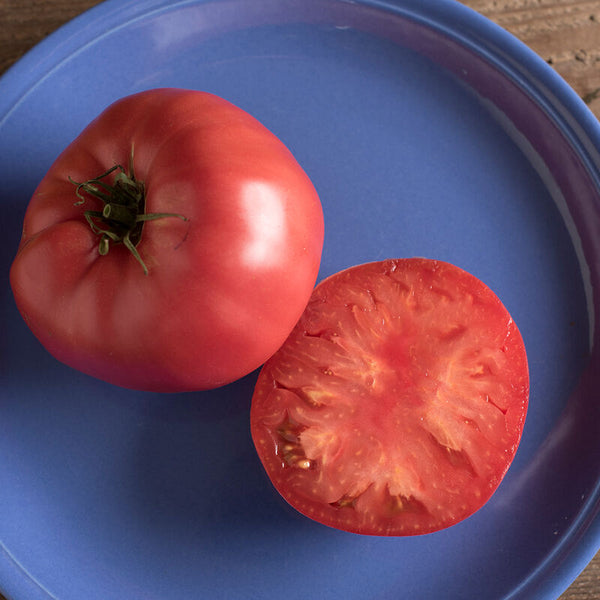 Tomato Seedling, Heirloom - Brandywine