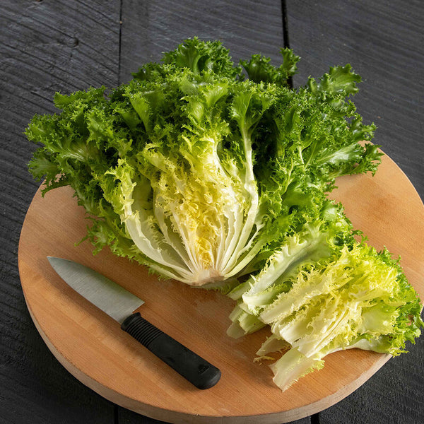 Frisée (Endive, 6+ oz)