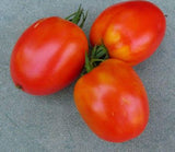 Tomato, Amish Paste (heirloom, $6/lb)