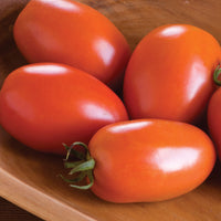 Tomato, Amish Paste (heirloom, $6/lb)