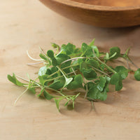 Microgreens Broccoli (1.5 oz)